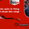 Dịch vụ quản lý toàn diện – Giải pháp tăng hiệu quả kinh doanh và vận hành an toàn cho thương hiệu